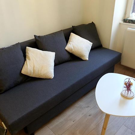 Appartement Cosy Entier, Parking Gratuit Dans La Rue Dijon Kültér fotó