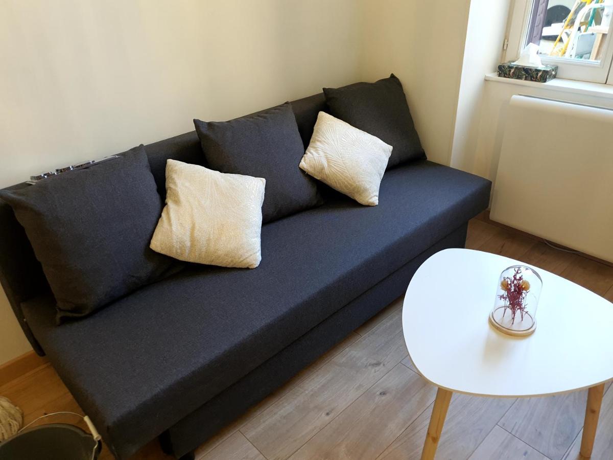 Appartement Cosy Entier, Parking Gratuit Dans La Rue Dijon Kültér fotó